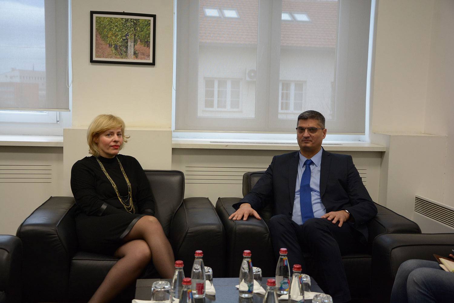 Ministar Rikalo se sastao sa hrvatskim ambasadorom g-djom Marijom Kapitanović