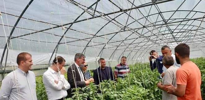 Investimet e MBPZHR-së dhe donatorëve gjermanë po rrisin prodhimtarinë bujqësore