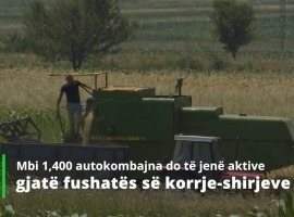 Fillon fushata e korrje-shirjeve