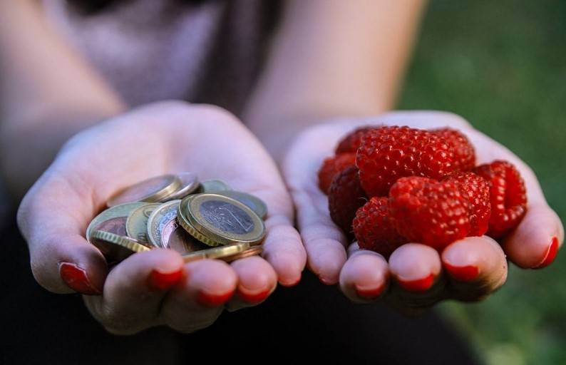 Preko 4,7 miliona evra isplaćeno je farmerima - poljoprivrednicima