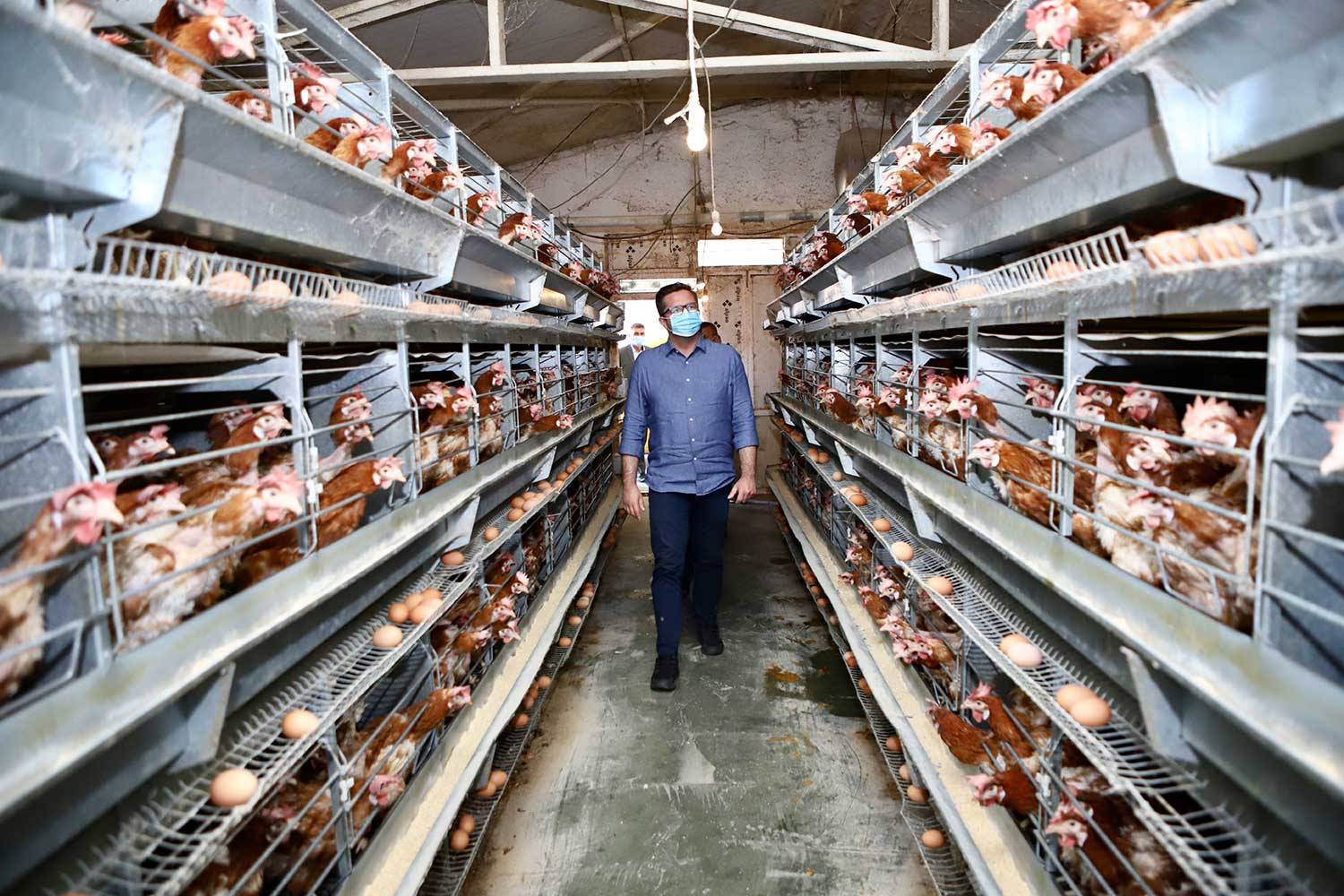 Ministri Mustafa: Fermerët llapjanë do ta kenë mbështetjen time