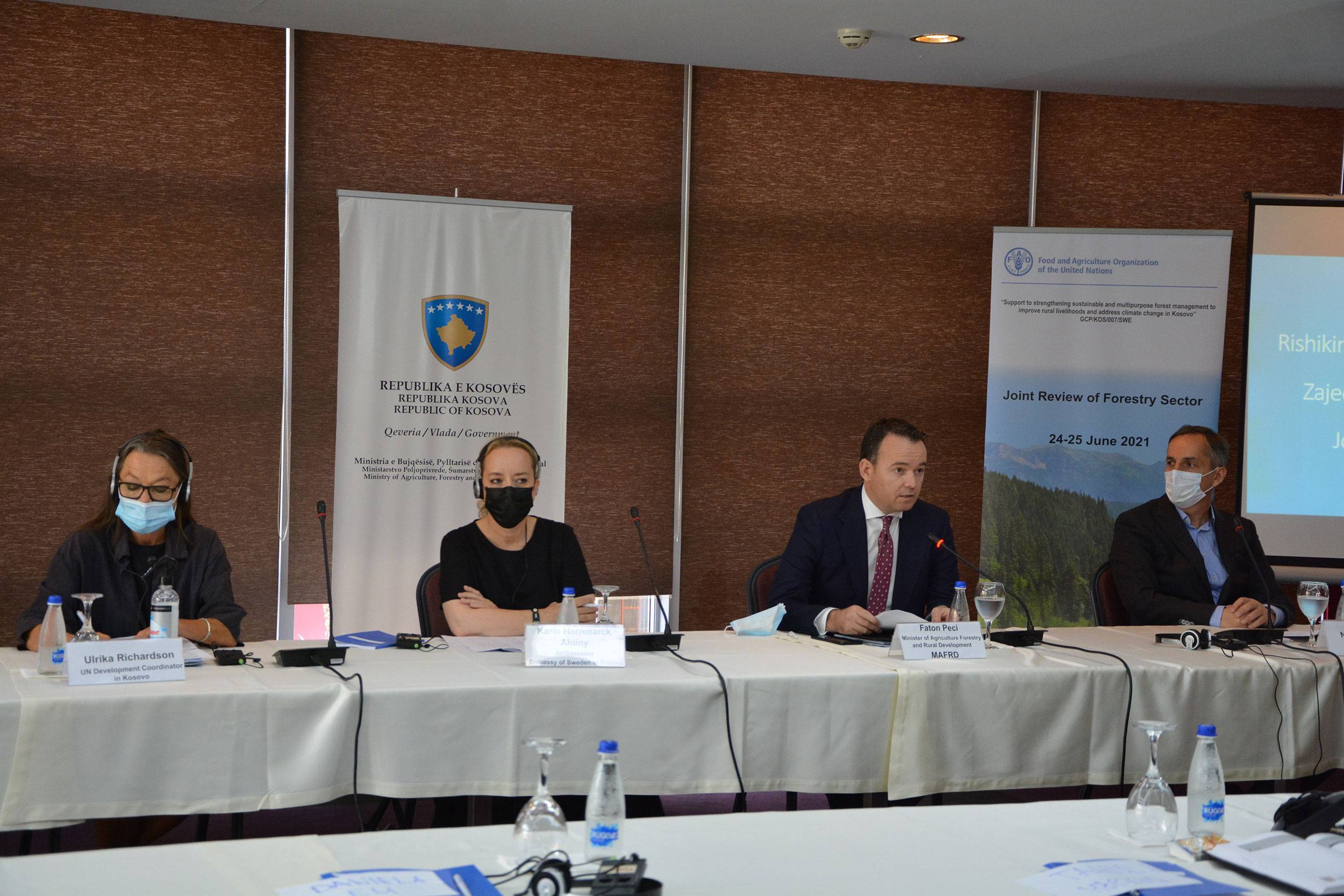 Ministri Faton Peci merr pjesë në takimin për Rishikimin e Përbashkët të Sektorit të Pylltarisë