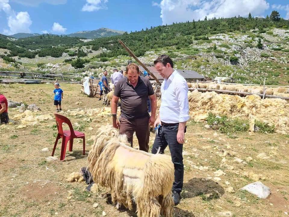 Sektori i blegtorisë tejet i rëndësishëm në zhvillimin ekonomik