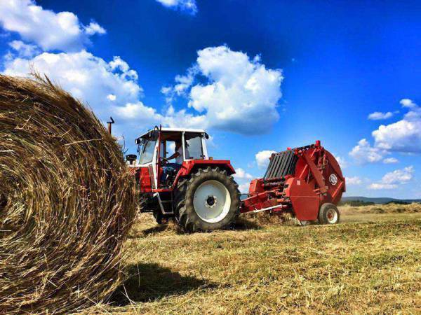 06_07_2023_6000689_tokajone1992015040915
