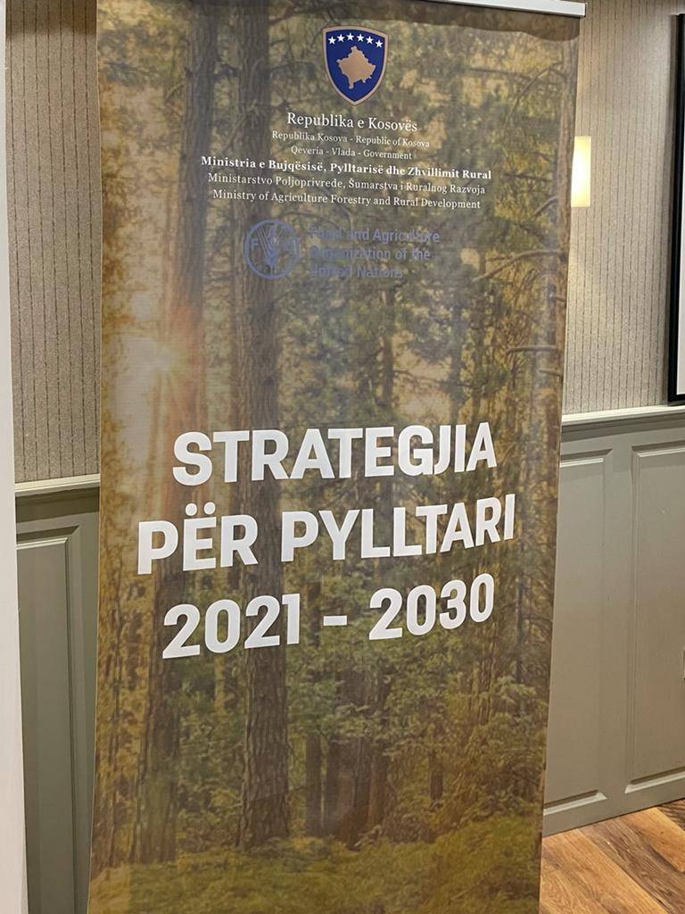 10_12_2021_6259558_4