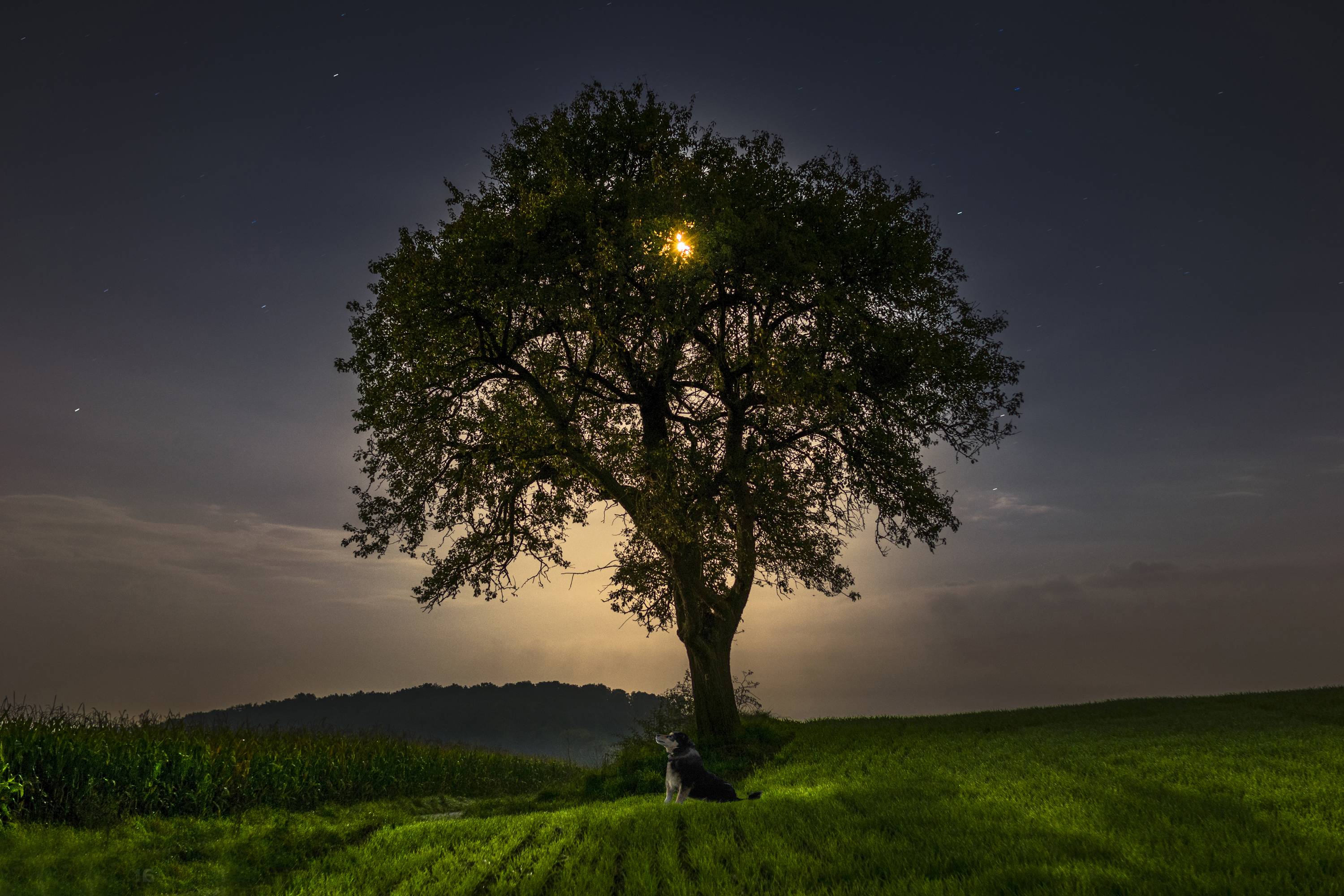 02_12_2015_8331205_Arber_Halili__vendi_i_trete
