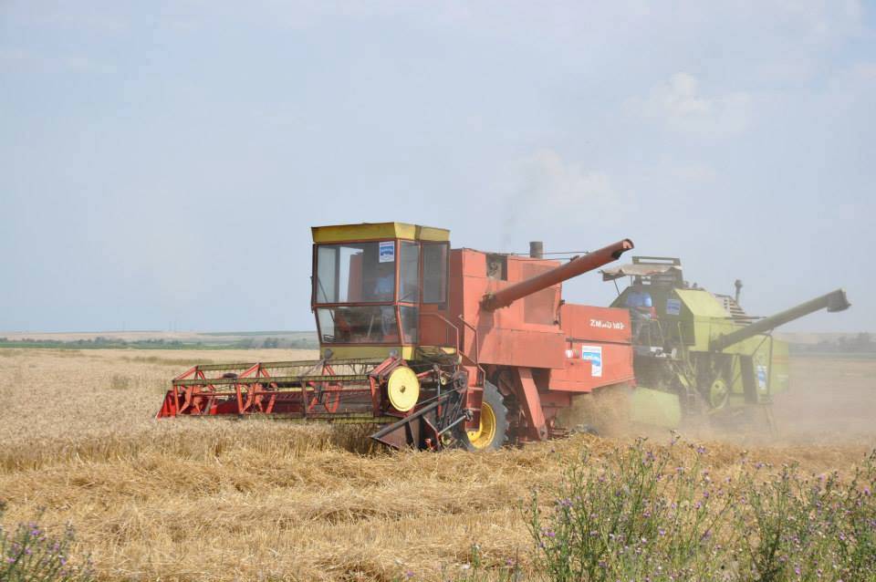 03_07_2015_8480132_korrje_shirjeve1