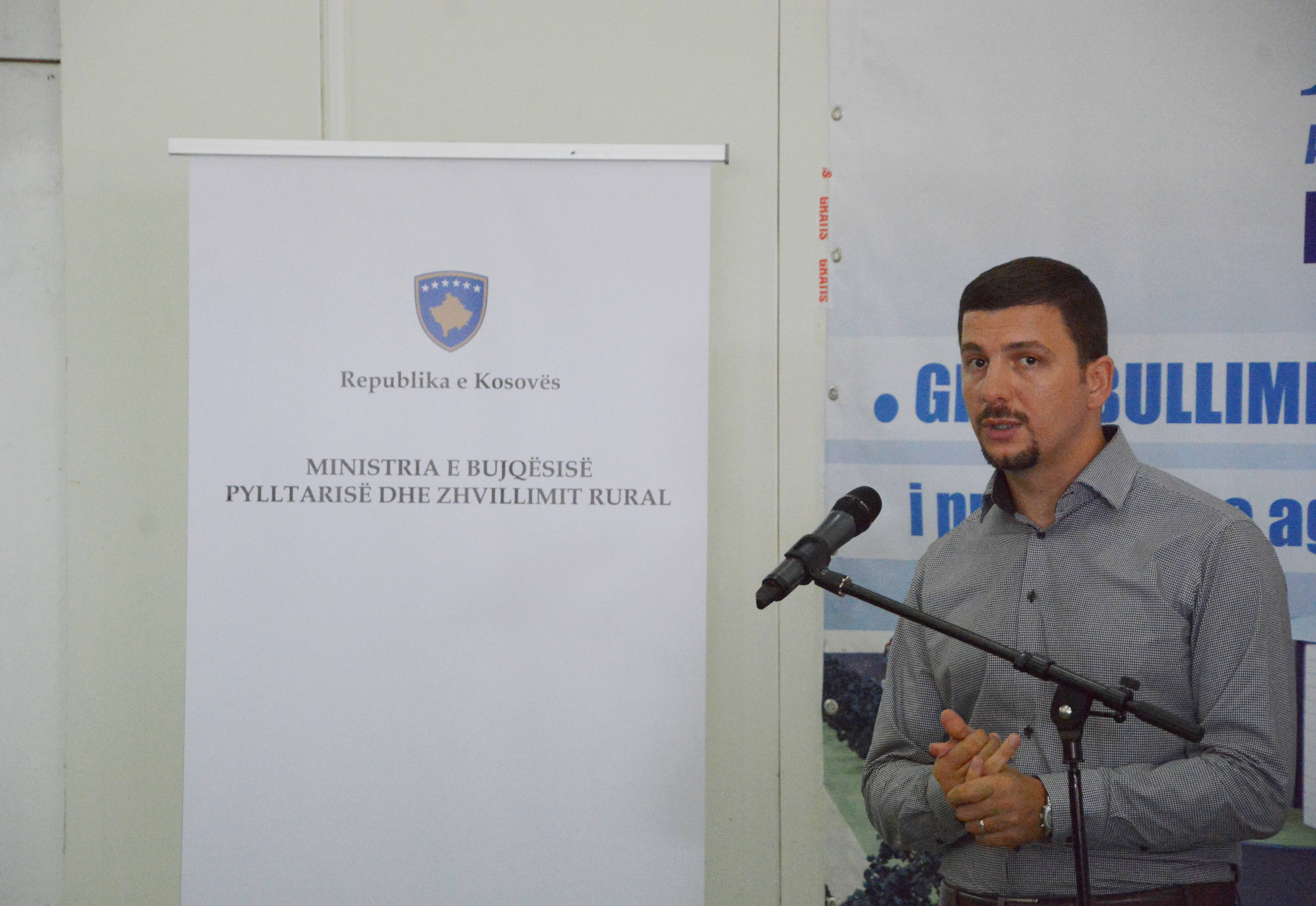 06_08_2015_2110913_Qendrat_grumbulluese4
