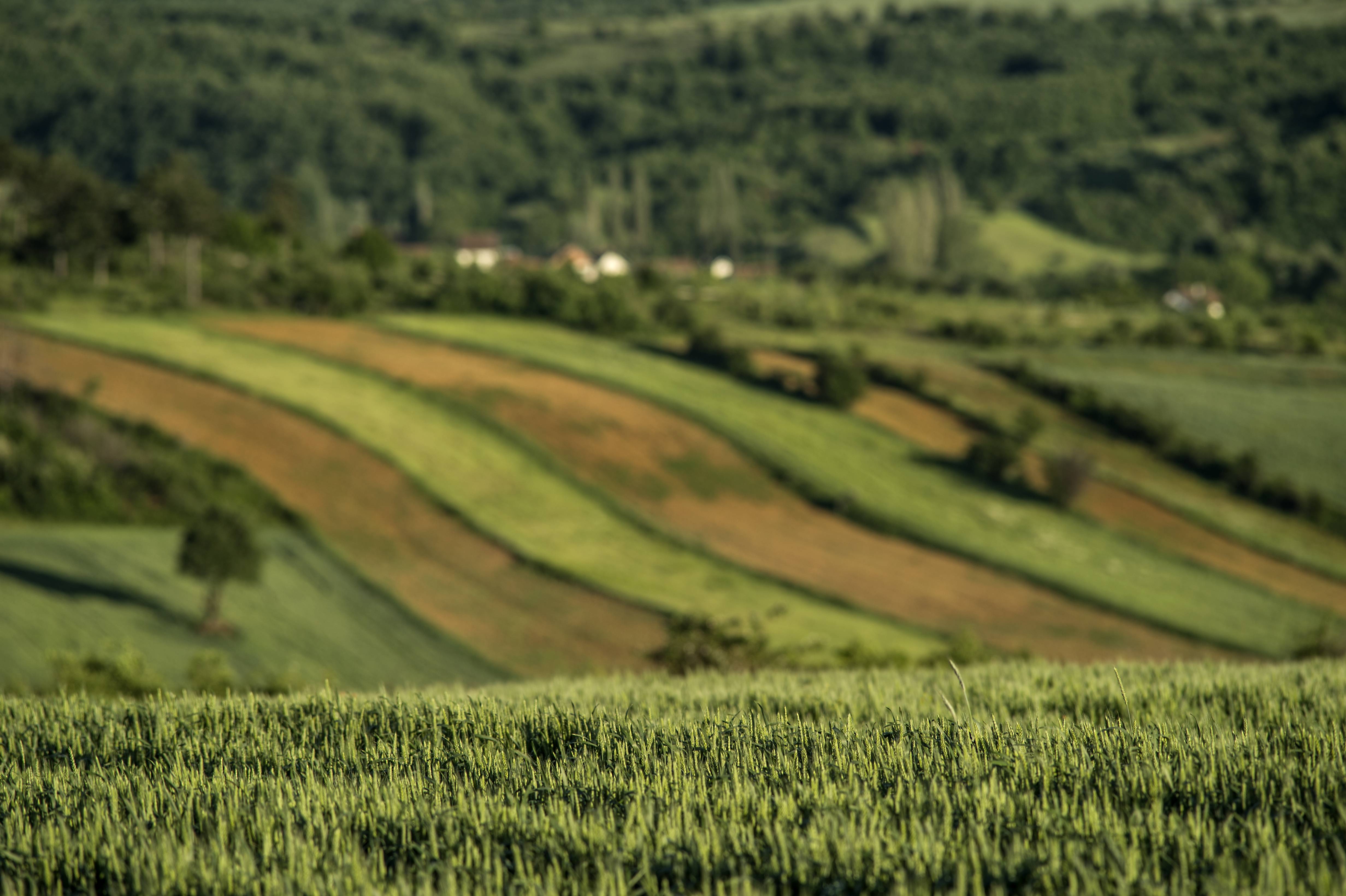 17_03_2016_5842941_Foto_ilustruese_Arben_Llapashtica