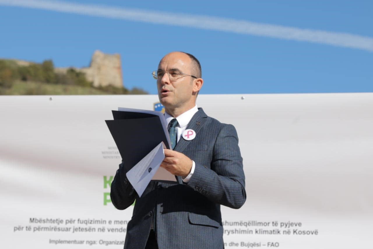 Zëvendësministri Demelezi mori pjesë në Kampin Pyjor