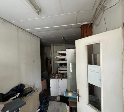 IMG-20250319-WA0055