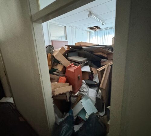 IMG-20250319-WA0056